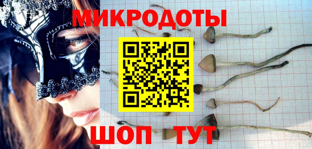 Псилоцибиновые грибы GOLDEN TEACHER Белебей