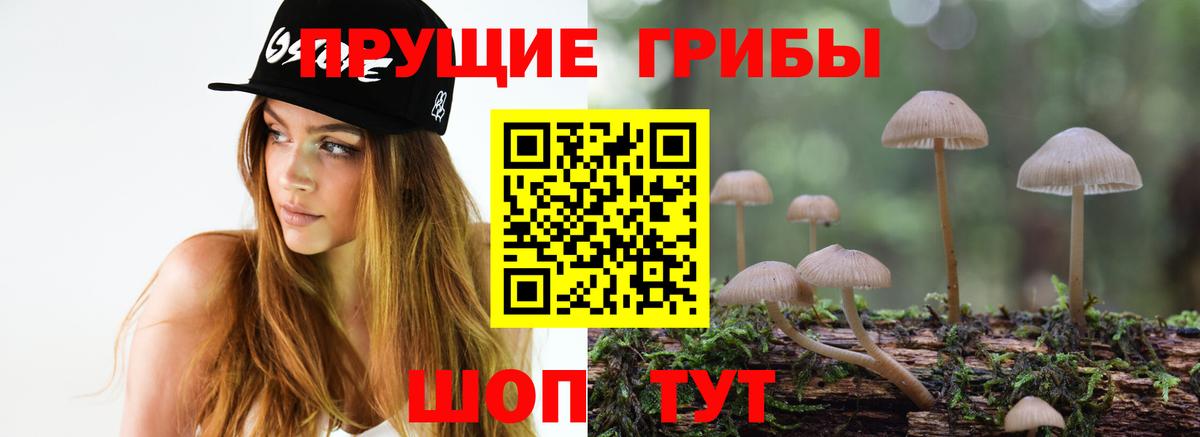 Белебей  Галлюциногенные грибы Cubensis  Вход с VPN  Псилоцибиновые грибы Psilocybe 